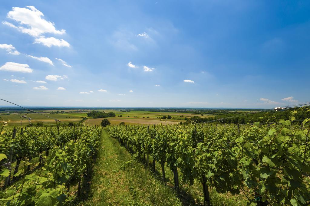 Hotel Termal - Terme 3000 - Sava Hotels & Resorts Moravske-Toplice Εξωτερικό φωτογραφία